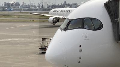 JAL A350-900 に乗る旅 大阪伊丹&#8596;︎東京羽田(昼) 後編