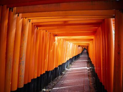 京都 子連れ旅行 に関する旅行記 ブログ フォートラベル