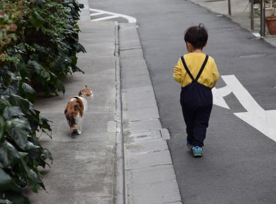 過去と未来と。