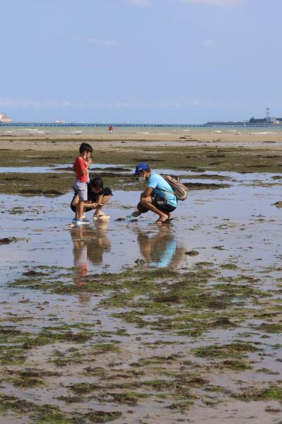 干潮時のチャンギパークを歩く②