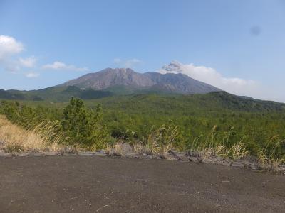 桜島溶岩原ウオーキング