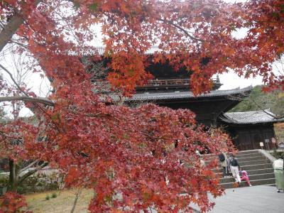小学生女子も喜ぶ♪秋の京都～日本史探偵コナンの聖地巡り～