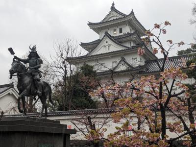 愛知～岐阜～京都2泊3日旅行④／⑤大垣城