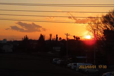 2月1日のふじみ野市から見られる日没風景と夕焼け富士