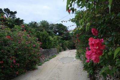 2022年初旅　石垣島・西表島・竹富島　5泊6日　その5