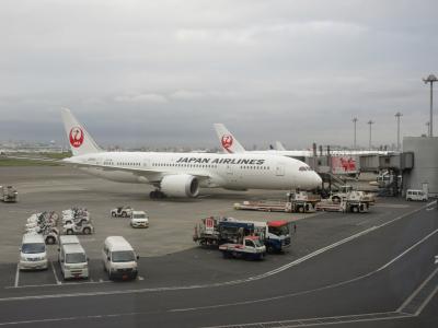 どこかにマイル旅　第二弾は福岡になったよ～１日目～