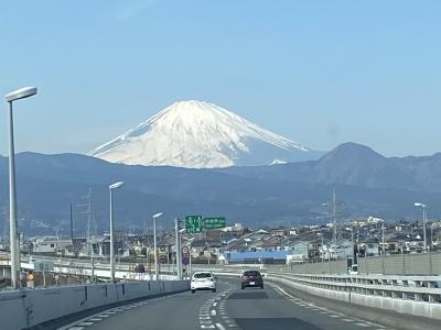 「鎌倉殿の１３人」を訪ねて　石橋山の古戦場～真鶴半島