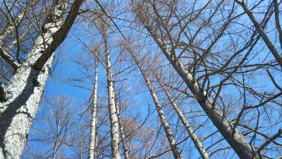ふだん着の休日 2020 雪の戦場ヶ原へ行ってきます-2