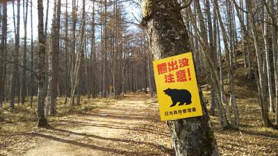 ふだん着の休日 作戦命令「クマ出没注意!の中に入って男体山を見る」・・-2021-2