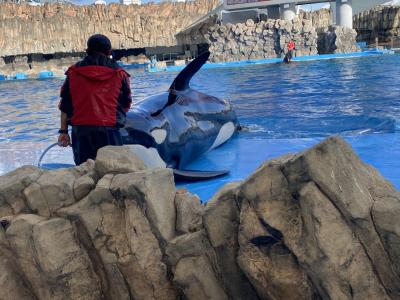 名古屋港水族館～東浦