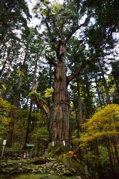 遠野の神社仏閣、御朱印集め　2日目　遠野郷から志和稲荷神社まで