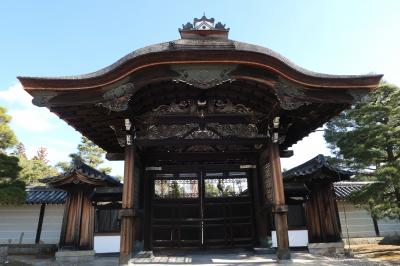 京都　優雅な冬旅♪　Vol.6 ☆仁和寺：美しい冬の庭園と寺院♪