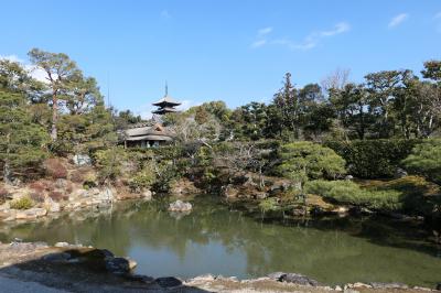 京都　優雅な冬旅♪　Vol.8 ☆仁和寺：美しい冬の庭園と寺院♪