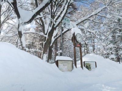 本日、札幌の積雪は過去最高　133㎝