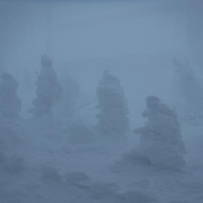 山形蔵王に樹氷(スノーモンスター）見に行ったら、ホワイトアウトだった件