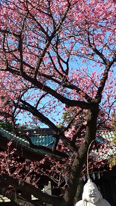 荏原神社の桜 2022