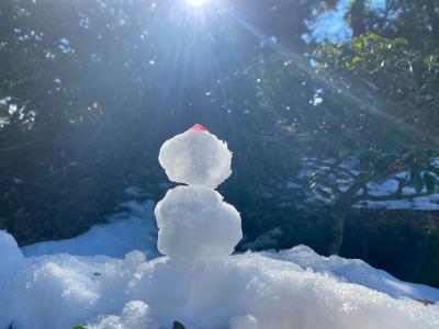 成田初詣&今年の鰻お食い初め♪＆可愛いSnowman.。o○