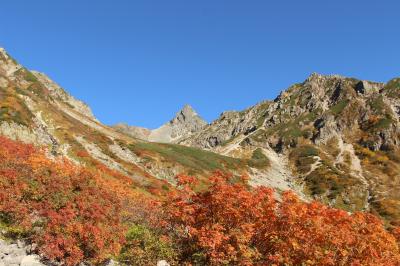 リベンジ・槍沢の紅葉