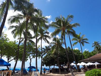 ひとりハワイ旅行２回目