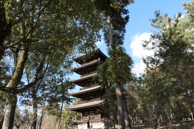 京都　優雅な冬旅♪　Vol.16 ☆仁和寺：美しい冬の庭園と寺院♪