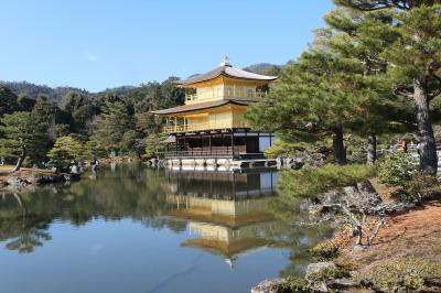 京都　優雅な冬旅♪　Vol.18 ☆金閣寺：美しい冬の庭園と黄金寺院♪