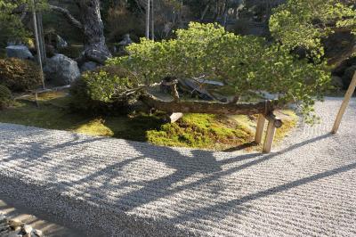 京都　優雅な冬旅♪　Vol.21 ☆曼殊院：美しい冬の庭園と寺院♪