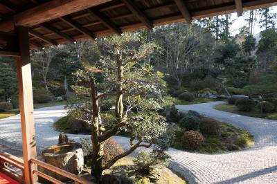 京都　優雅な冬旅♪　Vol.23 ☆曼殊院：美しい冬の庭園と寺院♪