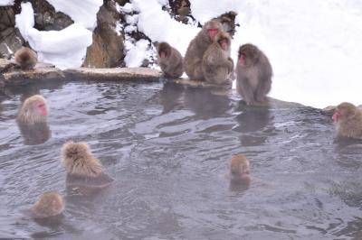 人も猿も温泉でくつろぐ真冬の信州旅行　雪の小布施、野猿公苑、善光寺①小布施、渋温泉編