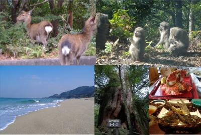 洋上のアルプス 世界自然遺産の屋久島