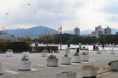 久し振りに福岡への旅②その1)大濠公園より舞鶴公園へ