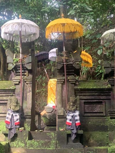 癒しの寺院