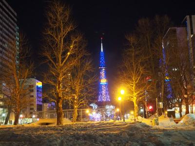 大雪の札幌の街1