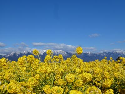 一足早く春を感じに