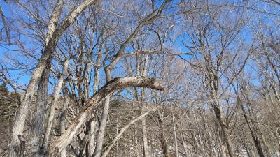 ふだん着の休日 冬はやっぱり自然がいい -3