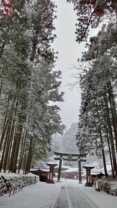 ふだん着の休日　雪が降ってきたら景色が一変　-4