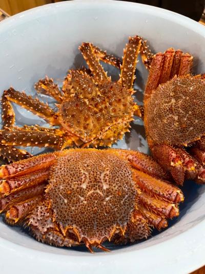 どこかにマイル第2弾 パーフェクト道東旅行!1日目