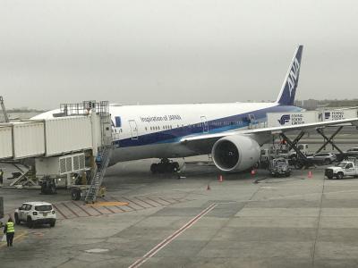 2020年2月、台北→羽田→ニューヨーク→トロント 搭乗記 【その5】 JFK→HND(NH009 THE Room)編