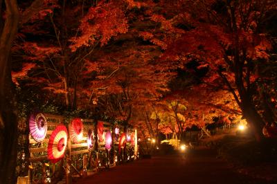 紅葉の修善寺に行ってきました