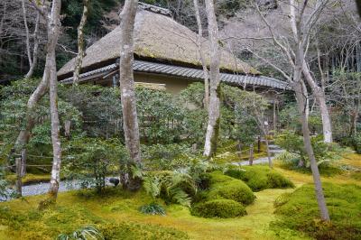 20220215-4 京都 嵯峨野めぐりも、もうじき嵐山。祇王寺の苔生す庭を拝観。