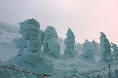 樹氷を見に行く