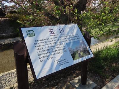 京都 井出 玉川堤の歌碑(Waka Monuments, Tamagawa Dike, Ide, Kyoto, Japan)