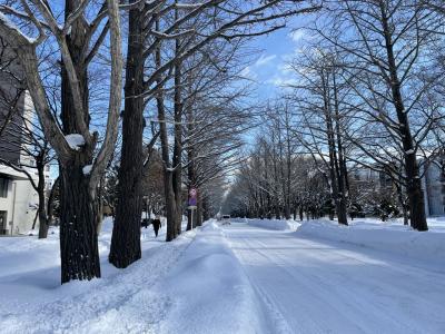ANAのタイムセールとさぁ札幌冬割を使ってお得に札幌旅行3