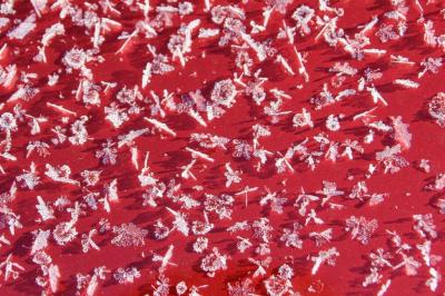 真冬の北海道を自分のクルマでドライブしよう~7泊8日【3日目】