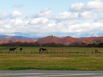 役割を終える鉄路の痕跡を訪ねて。～北海道・日高の旅 後編～