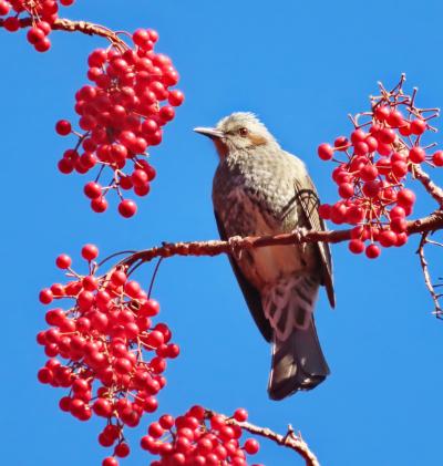 lrg_11739725.jpg?updated_at=