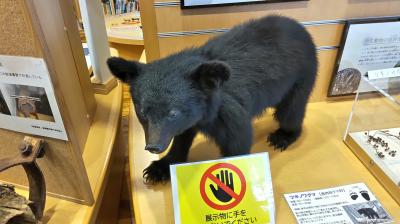 ふだん着の休日 突然ですが春を探しに -1