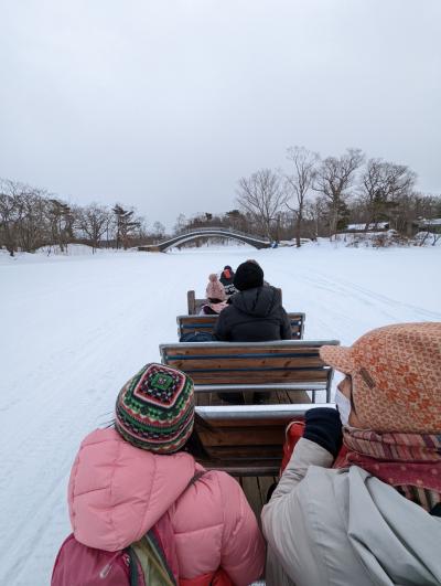 北海道新幹線で駆け抜ける子連れ冬旅1泊2日。温泉＆冬遊びで大満足の函館ほぼ弾丸旅！