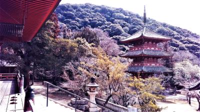 神戸の"三身山 太山寺″に参拝します！
