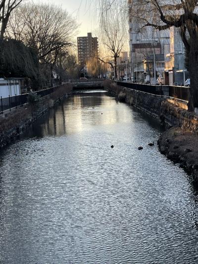 は～るよ来い、は～やく来い♪