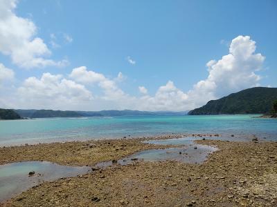 奄美諸島２０２１夏旅行記　【３】奄美大島３（西部２）